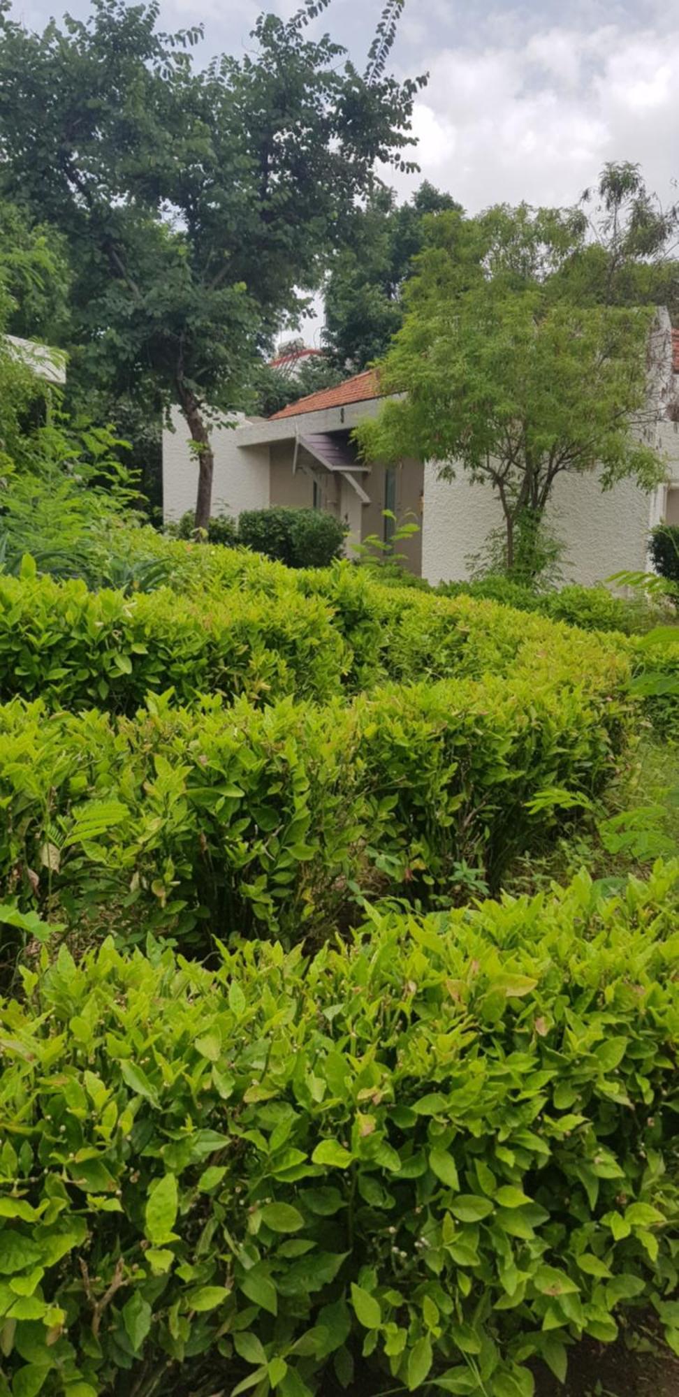 The Meadows Resort And Spa Aurangabad  Room photo
